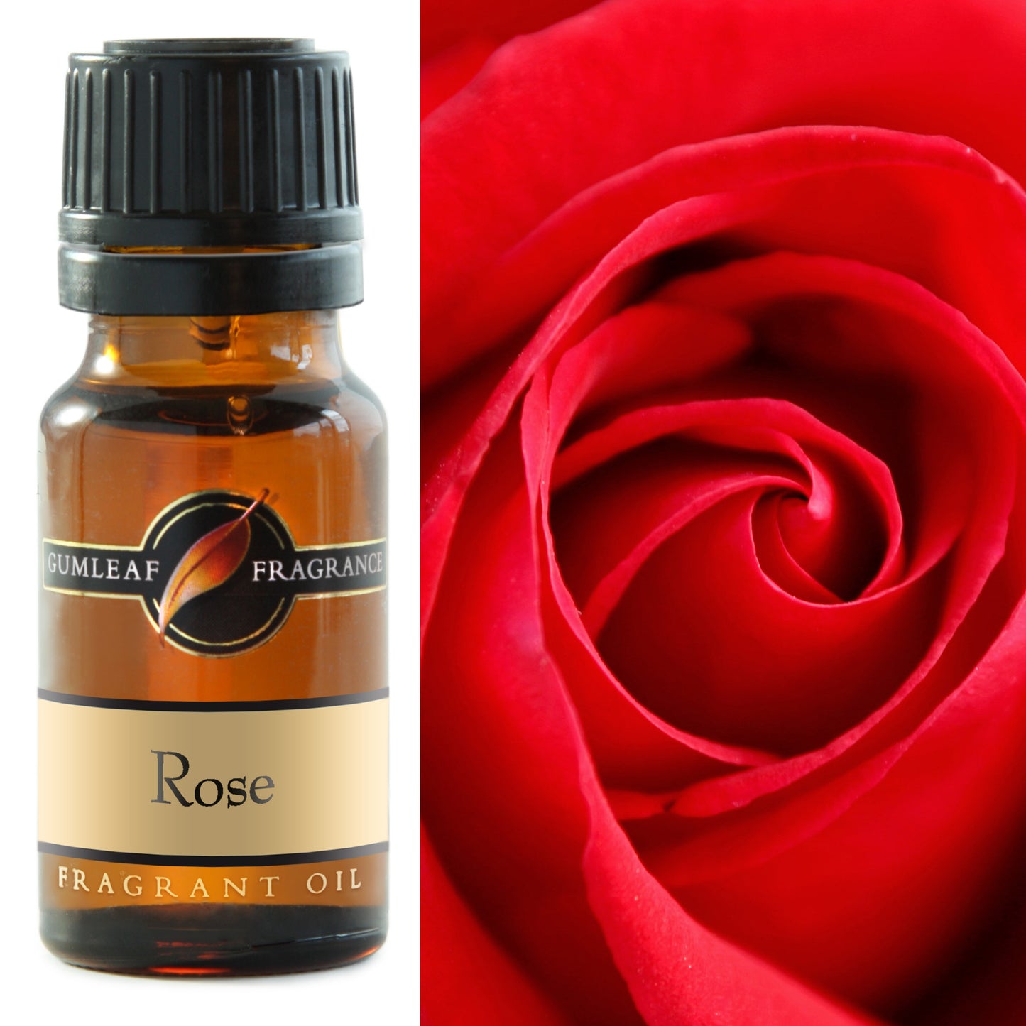 Gumleaf - Rose