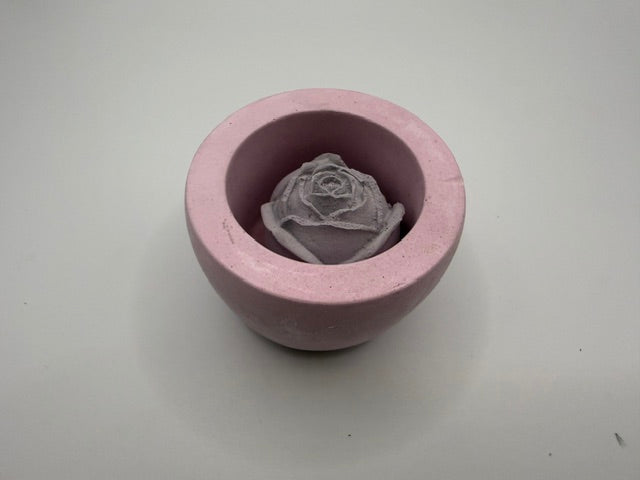 Bloom Small black Rose Pink Pot
