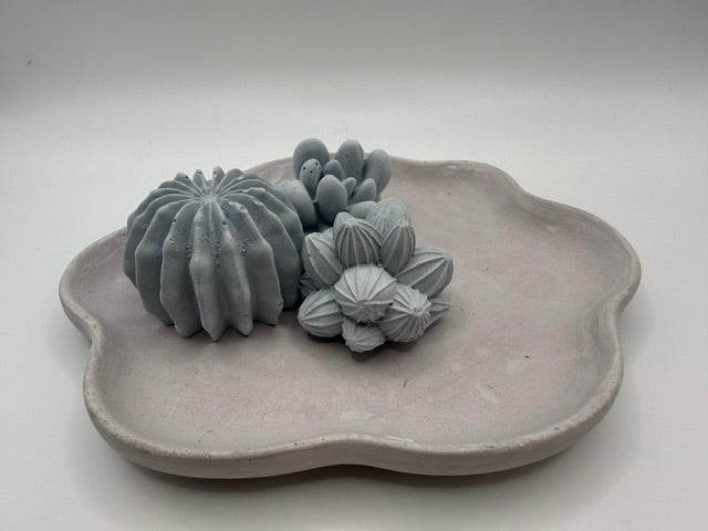 Desert Cactus GreyTray