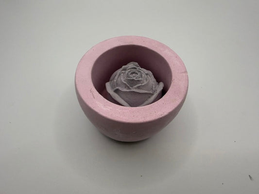Bloom Small black Rose Pink Pot