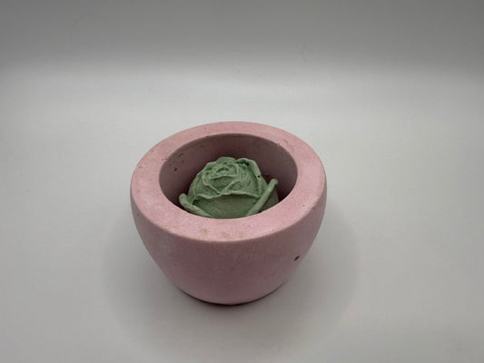 Bloom Green Rose Small pink pot