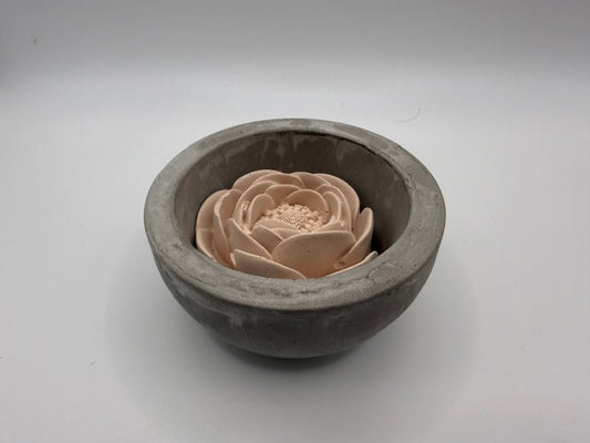 Bloom Pink Medium Grey Pot