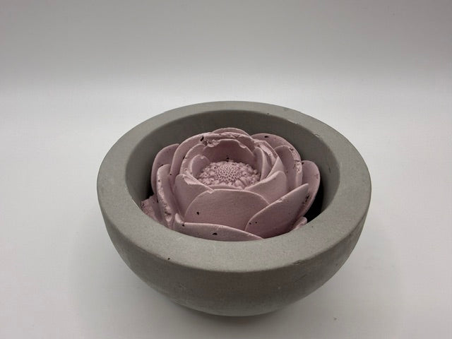Bloom Pink Medium Grey Pot