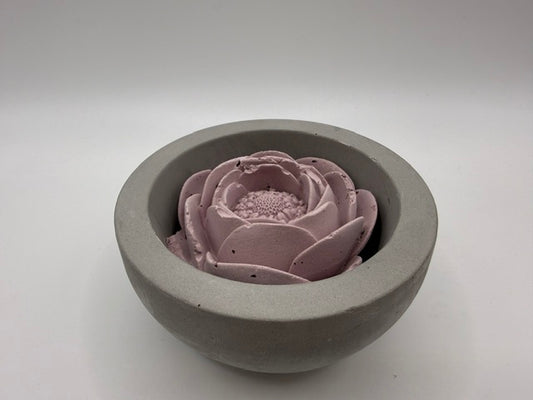 Bloom Pink Medium Grey Pot