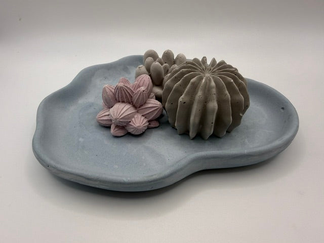 Desert Cactus Blue Tray