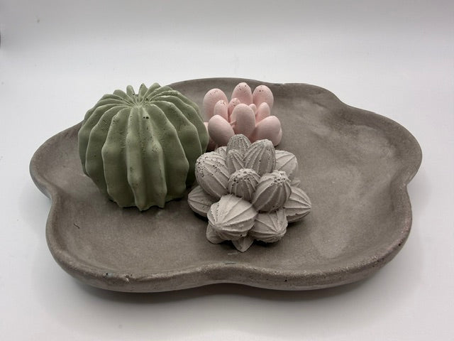 Desert Cactus Dark Grey Tray