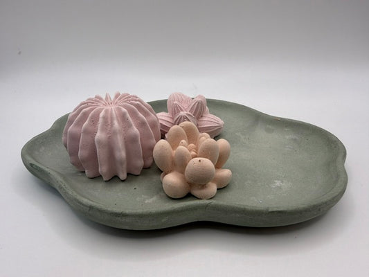 Desert Cactus Pink Tray