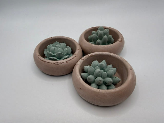 Desert Green set 3 Pots
